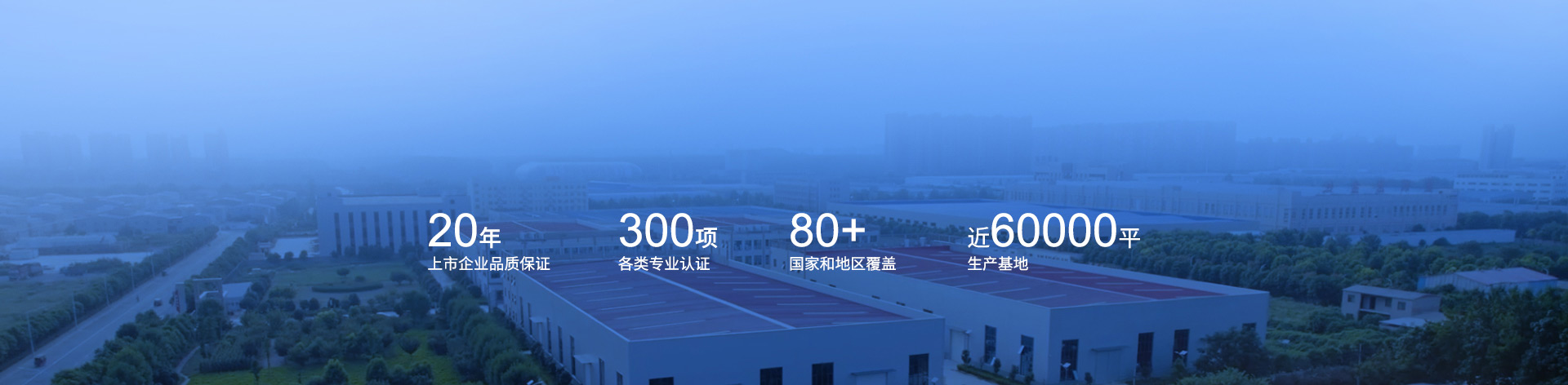 关于美彩国际